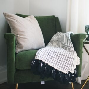 chair, home, room, plant, ivy, interior, table, blanket, pillow, curtain, clean, drapes, silver satin ivy, nature, still life